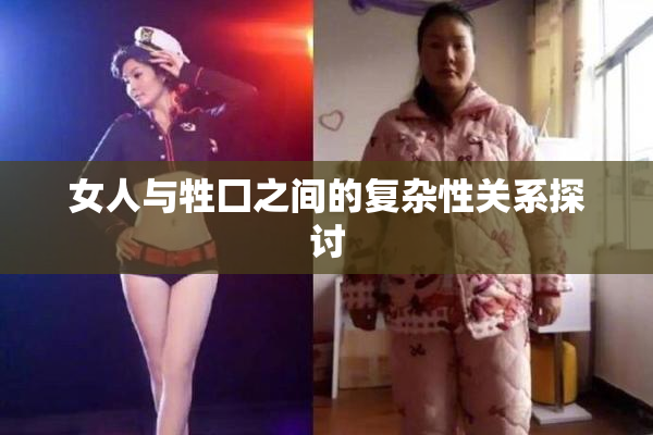 女人与牲囗之间的复杂性关系探讨