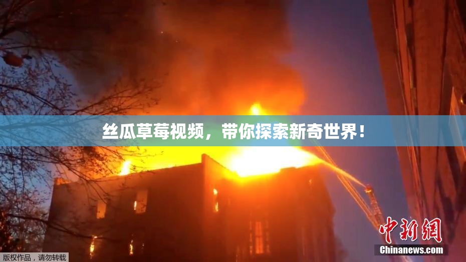 丝瓜草莓视频，带你探索新奇世界！