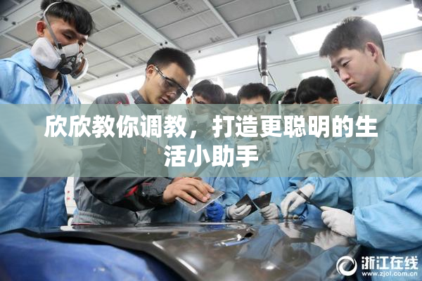 欣欣教你调教，打造更聪明的生活小助手