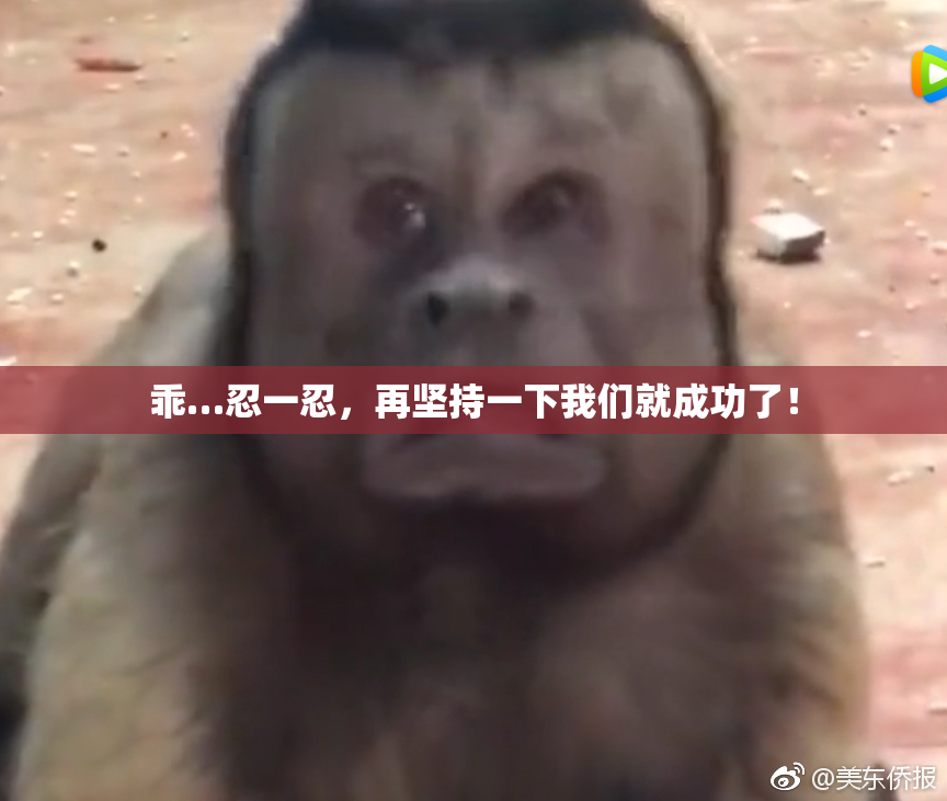乖…忍一忍，再坚持一下我们就成功了！