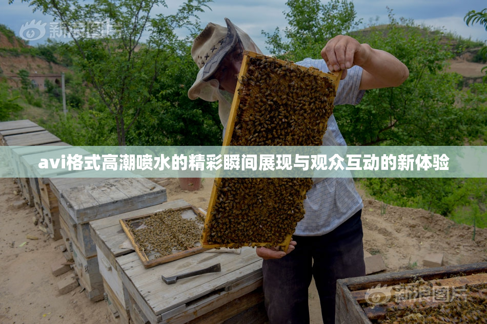 avi格式高潮喷水的精彩瞬间展现与观众互动的新体验