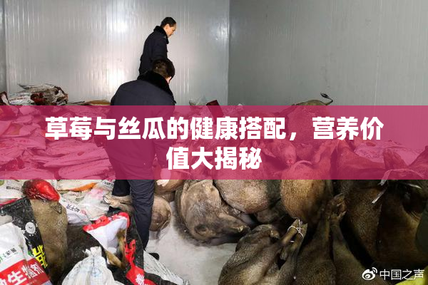草莓与丝瓜的健康搭配，营养价值大揭秘