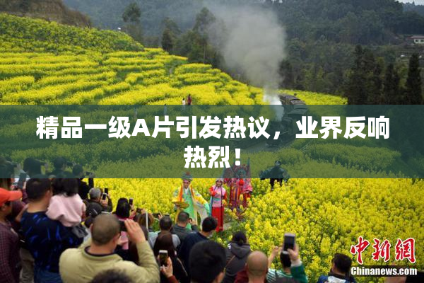 精品一级A片引发热议，业界反响热烈！