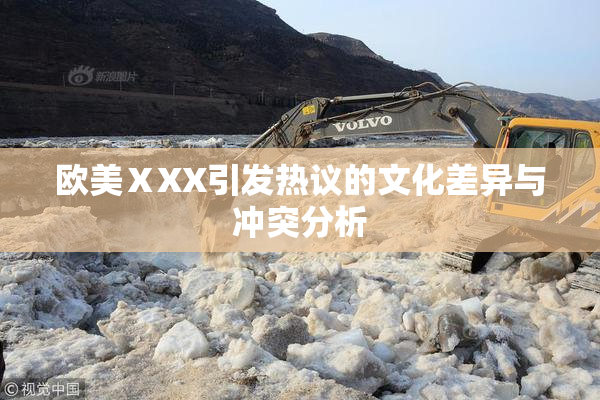欧美ⅩXX引发热议的文化差异与冲突分析