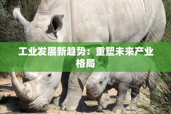 工业发展新趋势：重塑未来产业格局