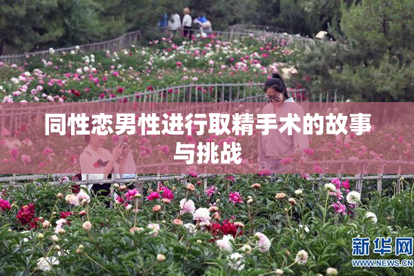 同性恋男性进行取精手术的故事与挑战
