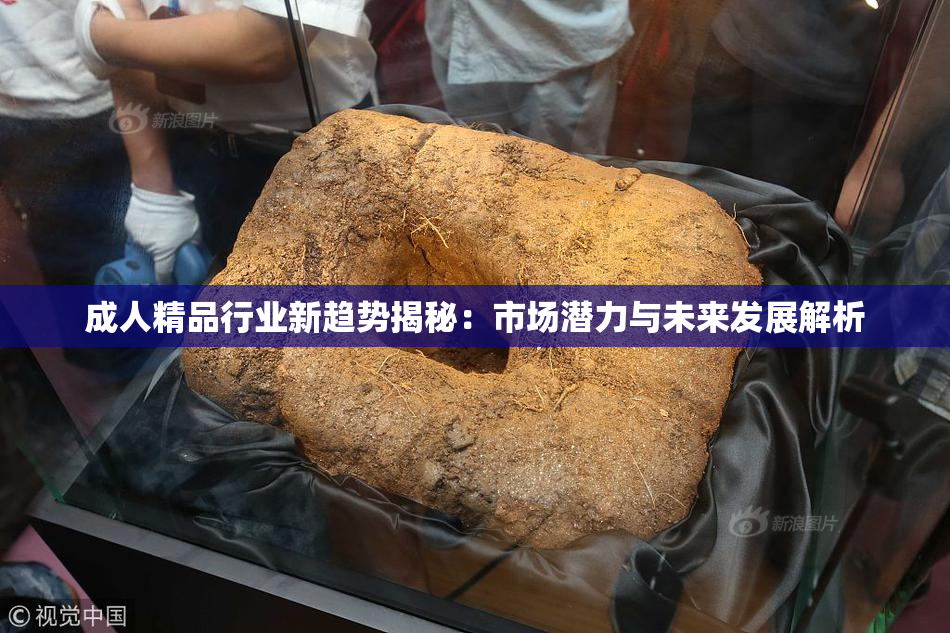 成人精品行业新趋势揭秘：市场潜力与未来发展解析