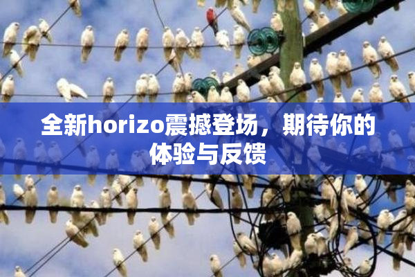 全新horizo震撼登场，期待你的体验与反馈