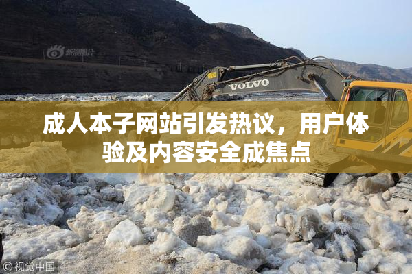 成人本子网站引发热议，用户体验及内容安全成焦点