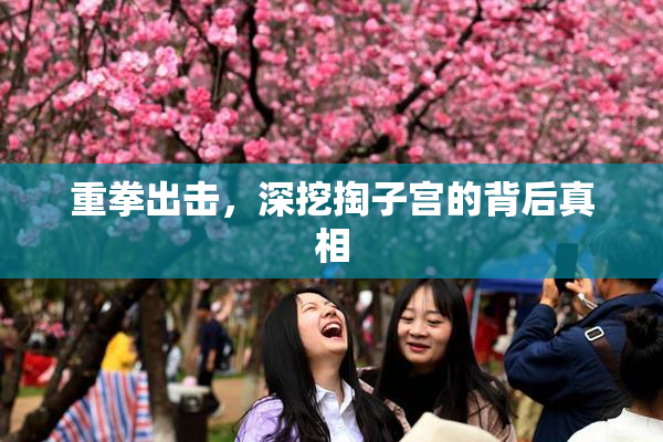 重拳出击，深挖掏子宫的背后真相