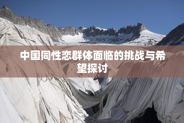 中国同性恋群体面临的挑战与希望探讨