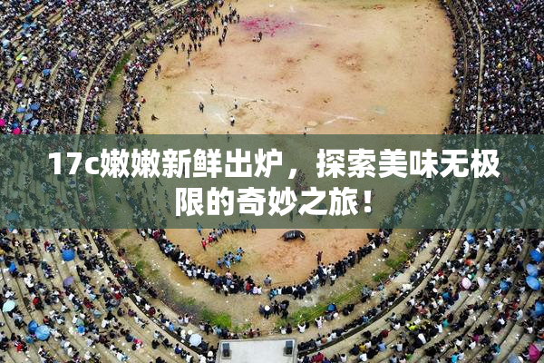 17c嫩嫩新鲜出炉，探索美味无极限的奇妙之旅！