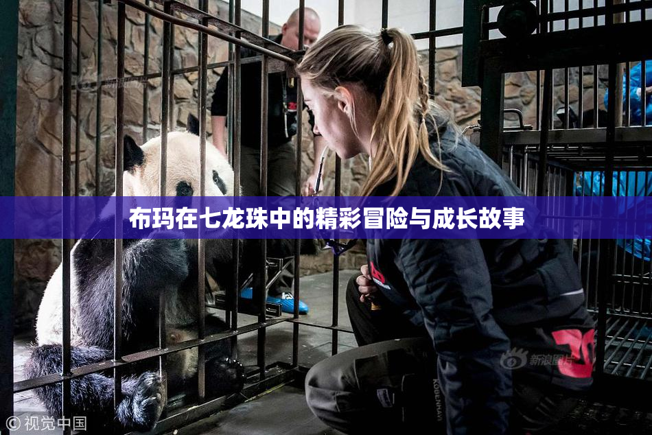 布玛在七龙珠中的精彩冒险与成长故事
