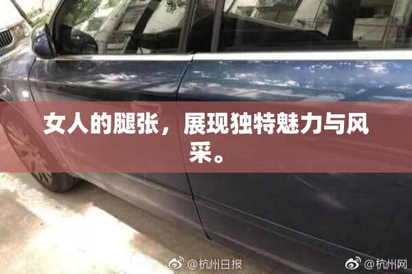 女人的腿张，展现独特魅力与风采。