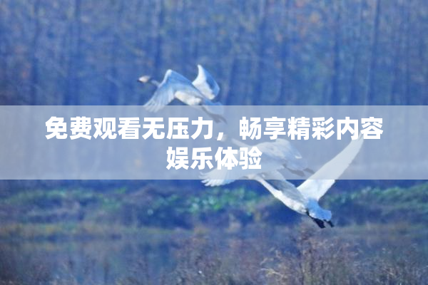 免费观看无压力，畅享精彩内容娱乐体验