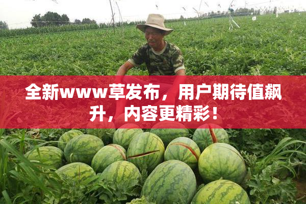 全新www草发布，用户期待值飙升，内容更精彩！