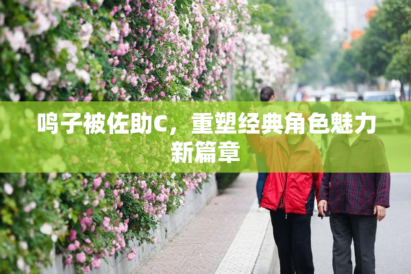 鸣子被佐助C，重塑经典角色魅力新篇章