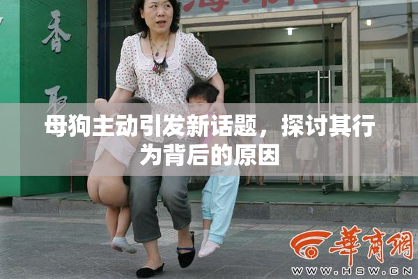 母狗主动引发新话题，探讨其行为背后的原因