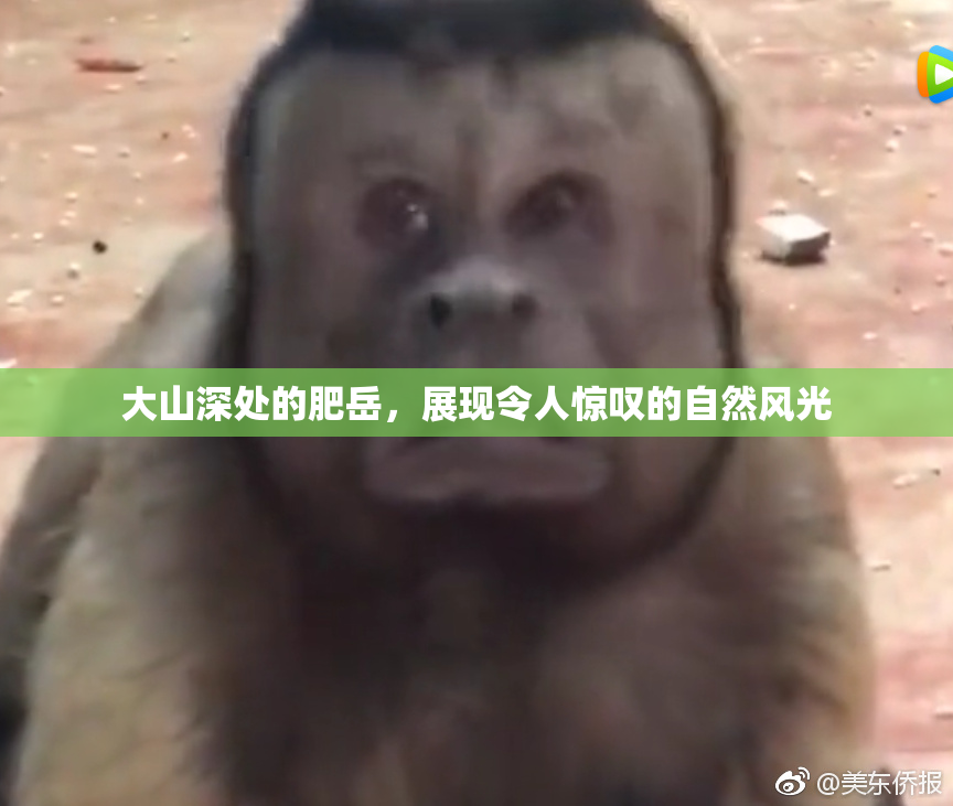 大山深处的肥岳，展现令人惊叹的自然风光