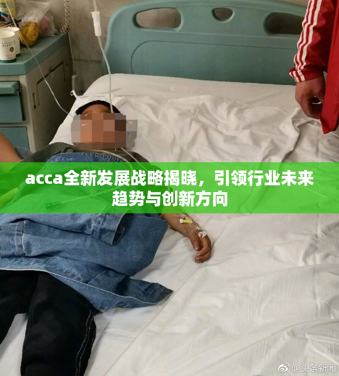 acca全新发展战略揭晓，引领行业未来趋势与创新方向