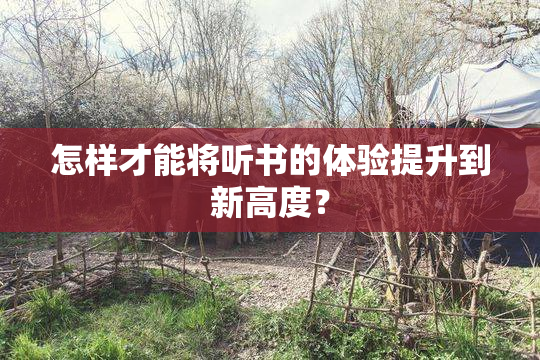 怎样才能将听书的体验提升到新高度？