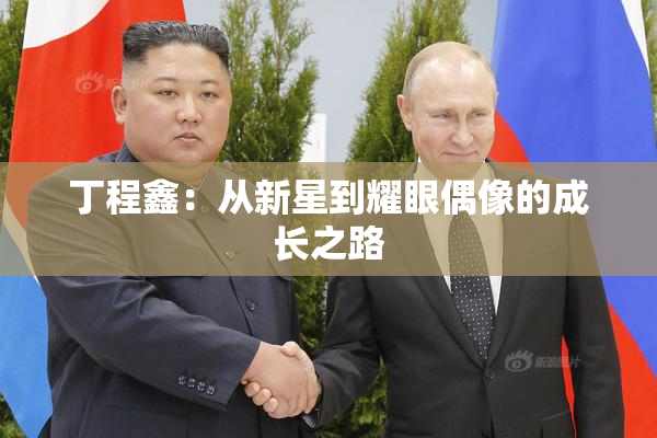 丁程鑫：从新星到耀眼偶像的成长之路