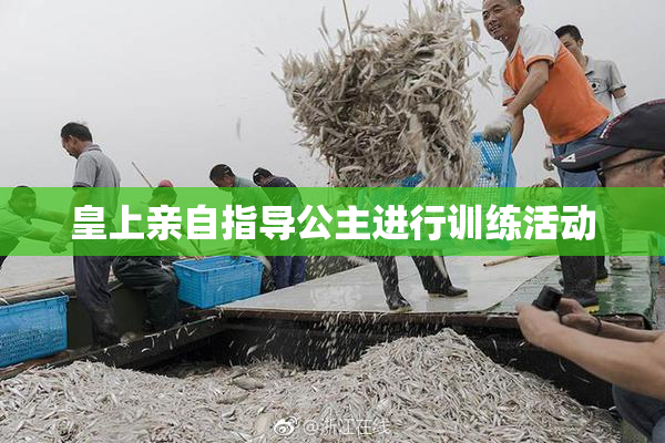 皇上亲自指导公主进行训练活动
