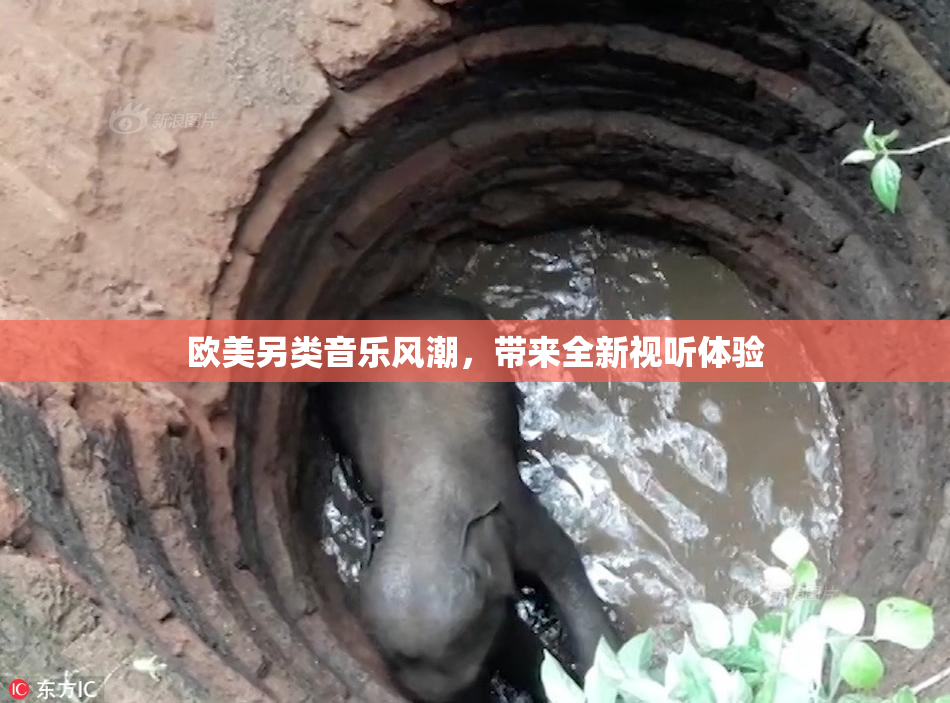 欧美另类音乐风潮，带来全新视听体验