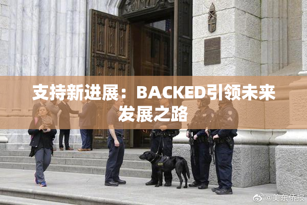 支持新进展：BACKED引领未来发展之路