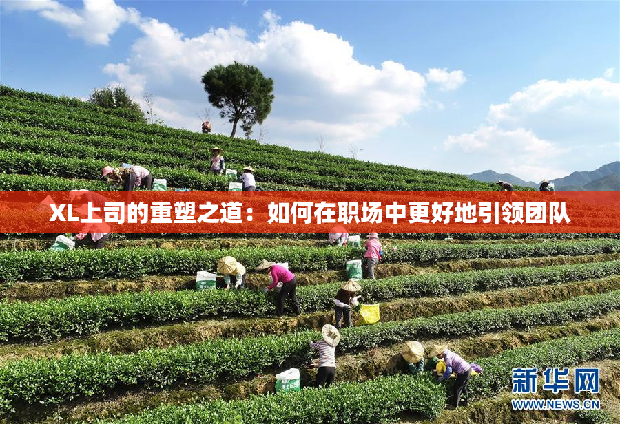 XL上司的重塑之道：如何在职场中更好地引领团队