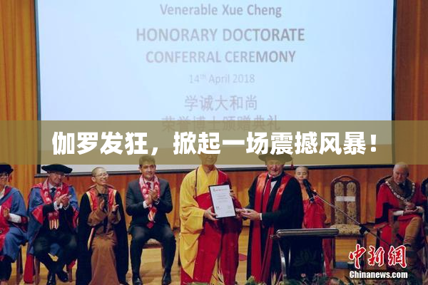 伽罗发狂，掀起一场震撼风暴！