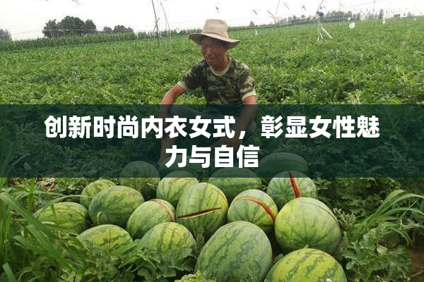创新时尚内衣女式，彰显女性魅力与自信
