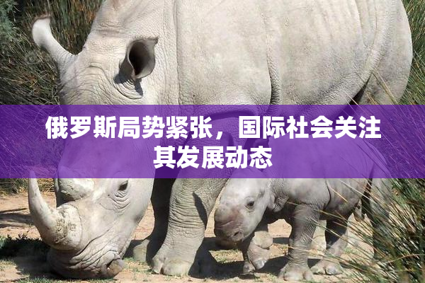 俄罗斯局势紧张，国际社会关注其发展动态