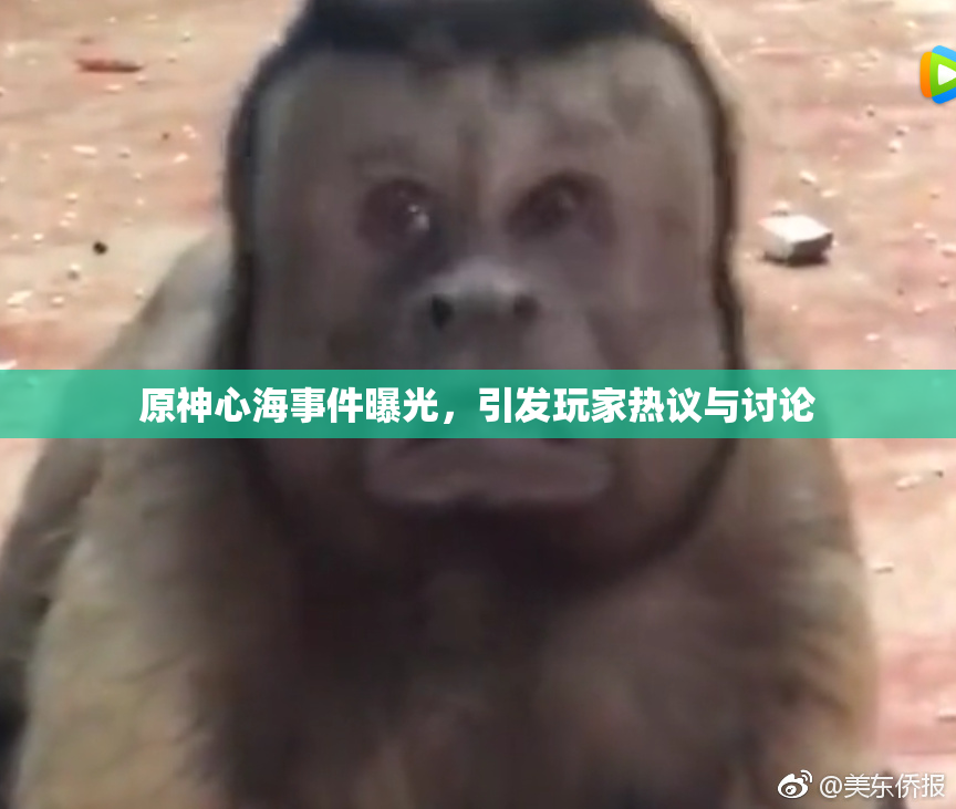 原神心海事件曝光，引发玩家热议与讨论