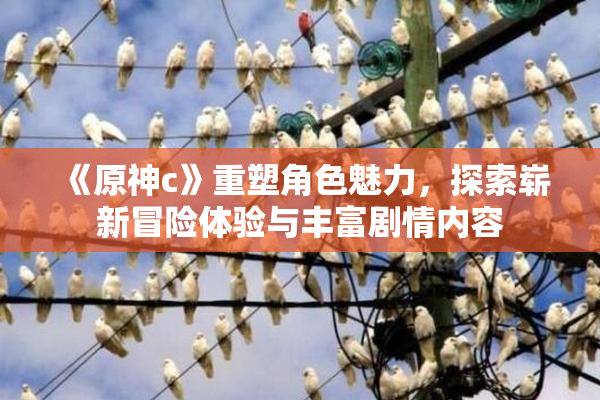 《原神c》重塑角色魅力，探索崭新冒险体验与丰富剧情内容