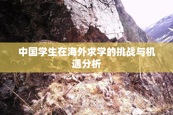 中国学生在海外求学的挑战与机遇分析
