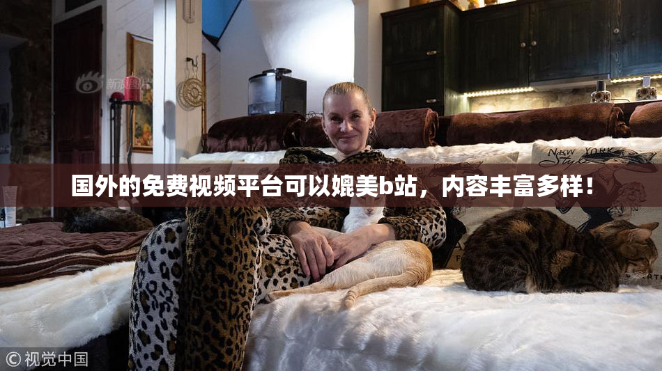 国外的免费视频平台可以媲美b站，内容丰富多样！