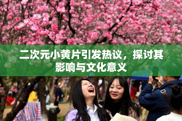 二次元小黄片引发热议，探讨其影响与文化意义