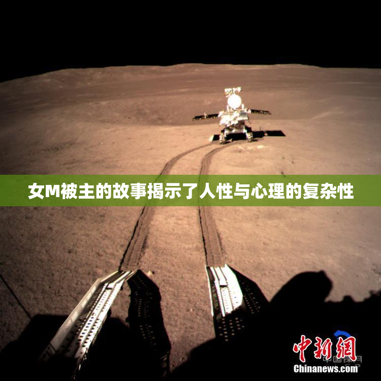 女M被主的故事揭示了人性与心理的复杂性
