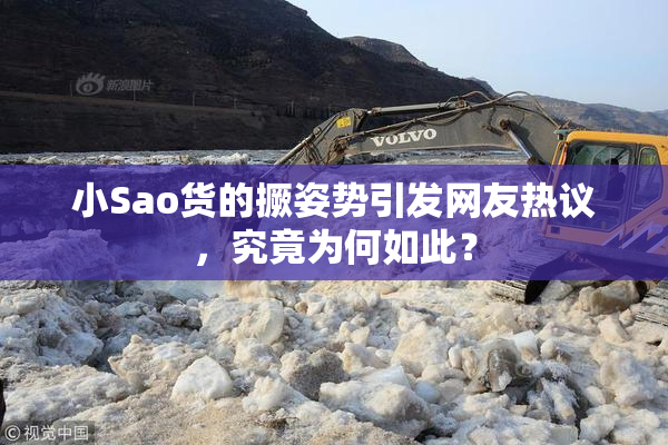 小Sao货的撅姿势引发网友热议，究竟为何如此？