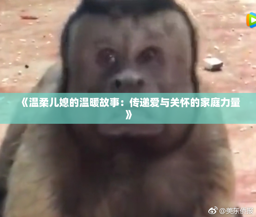 《温柔儿媳的温暖故事：传递爱与关怀的家庭力量》