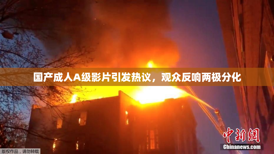 国产成人A级影片引发热议，观众反响两极分化