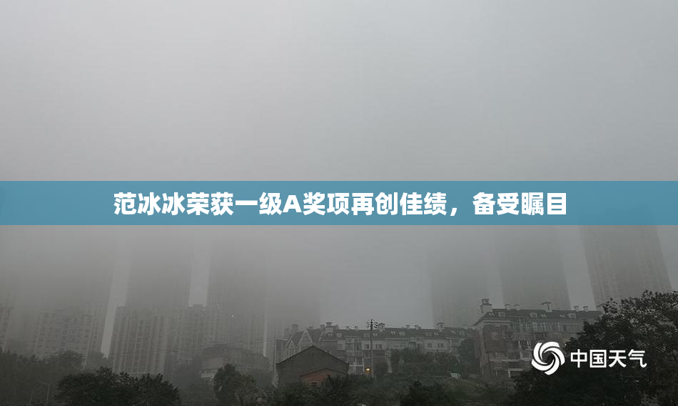 范冰冰荣获一级A奖项再创佳绩，备受瞩目