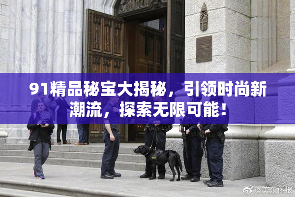 91精品秘宝大揭秘，引领时尚新潮流，探索无限可能！