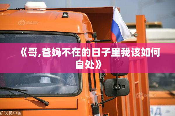 《哥,爸妈不在的日子里我该如何自处》