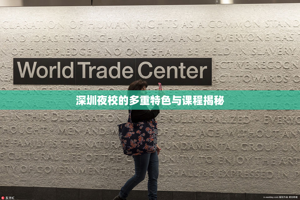 深圳夜校的多重特色与课程揭秘