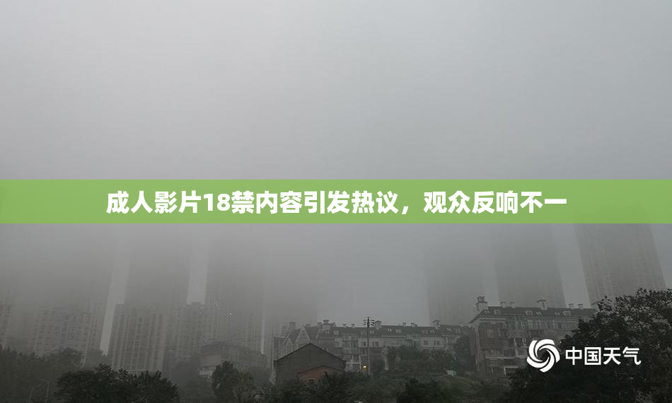 成人影片18禁内容引发热议，观众反响不一