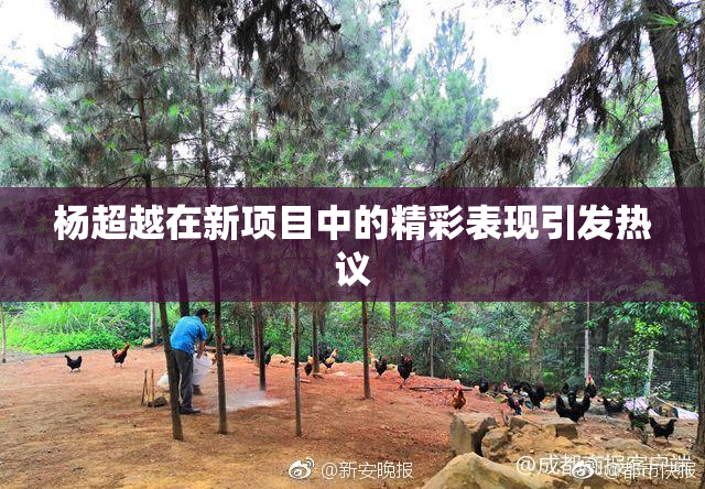 杨超越在新项目中的精彩表现引发热议