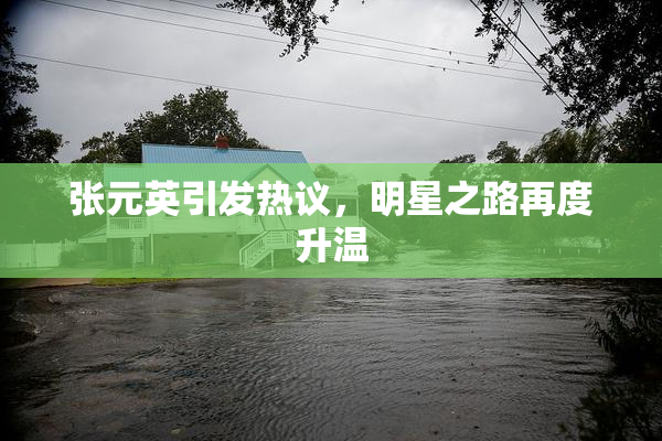 张元英引发热议，明星之路再度升温