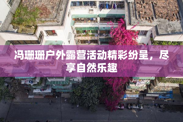 冯珊珊户外露营活动精彩纷呈，尽享自然乐趣